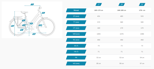 kinetic woman geo.png