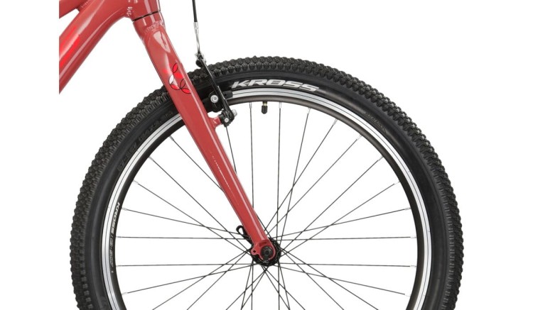 kross lea jr 2024 10.jpg