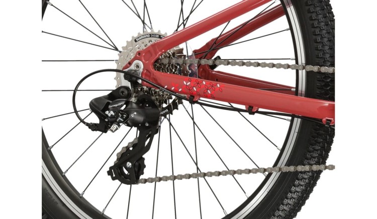 kross lea jr 2024 6.jpg