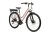KRTHEE28X17W004456_KR Trans Hybrid EE D 28 M rózł_bia p-53.jpg